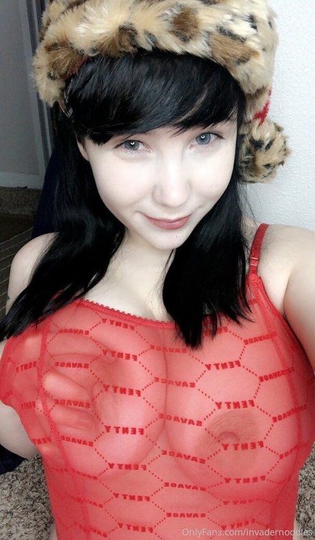 invadernoodles art model pictures