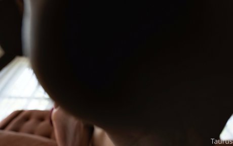 tastytaurustoes pornstar art archive