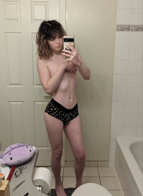 Whimsy Waffle star pic