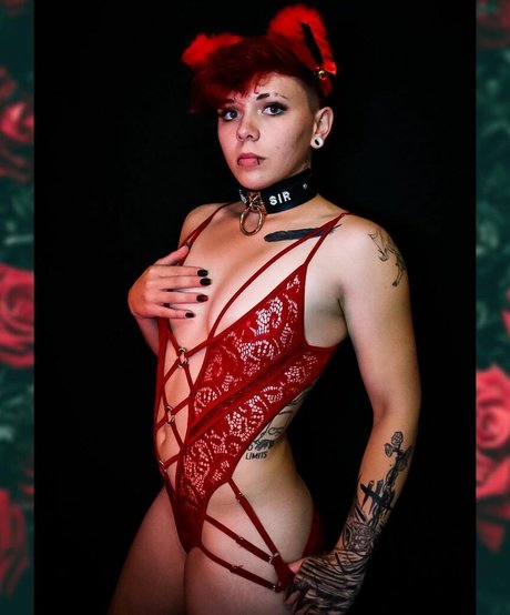 Lilpushpop naked star photos