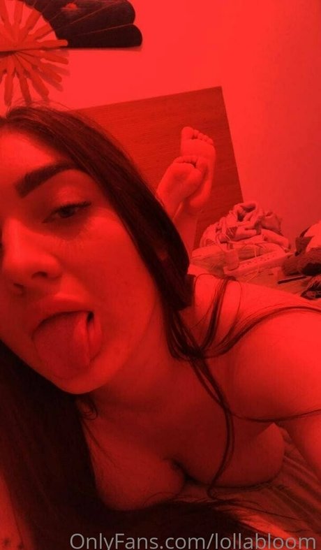 lollabloom high quality star image