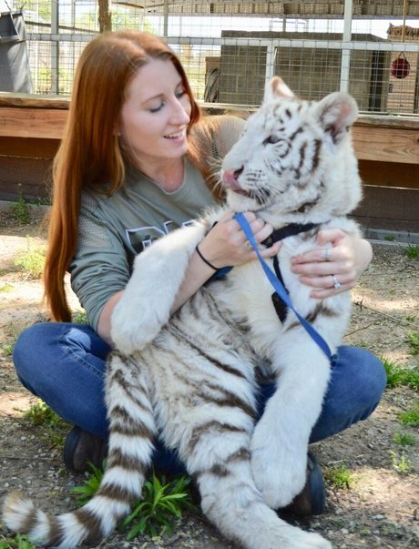 tigerqueen_ free model images