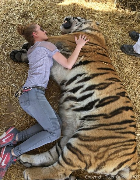 tigerqueen_ erotic star photo