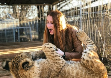 tigerqueen_ beautiful pornstar images