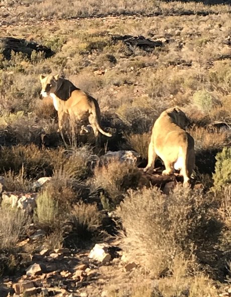 jimnewmannyc actress picture