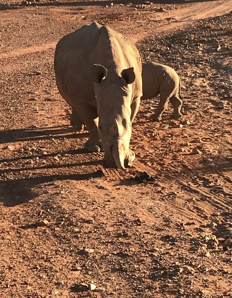 jimnewmannyc pornstar sexy img