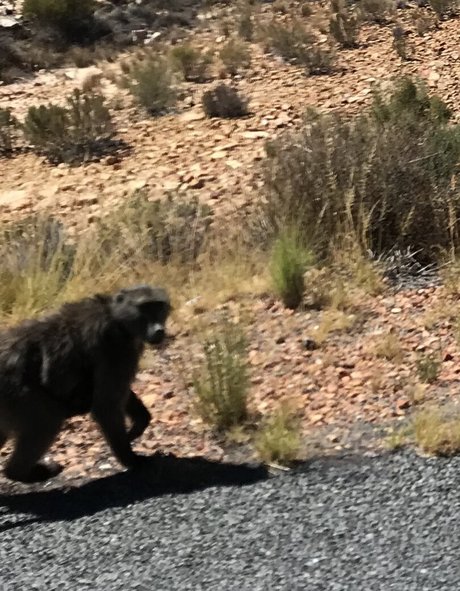 jimnewmannyc high quality model pics