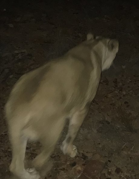 jimnewmannyc sexy star pic