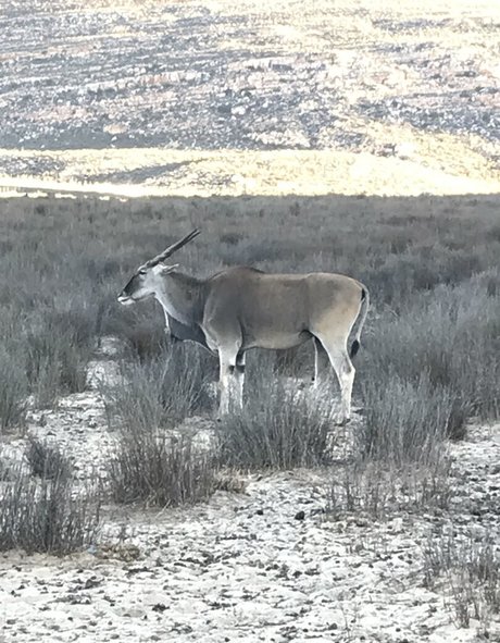 jimnewmannyc star naked img