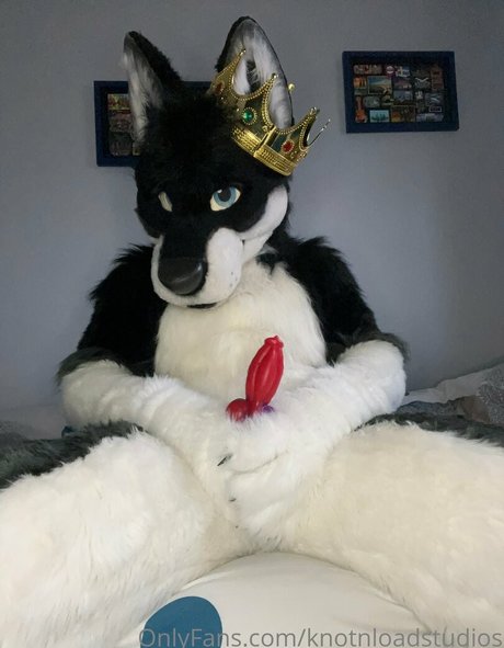 knotnloadstudios Profile pic