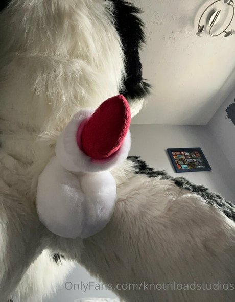 knotnloadstudios sexy pornstar photos