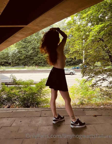 tinyhogwartsfailure model top pic