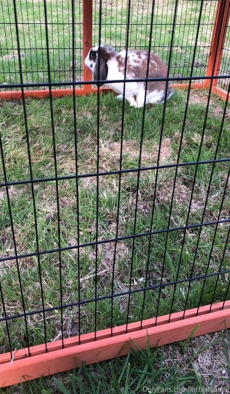 lothianjamie model art pics