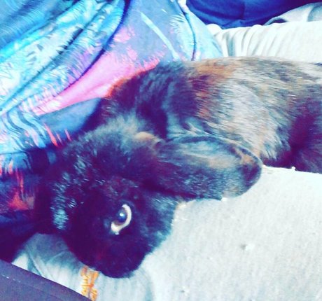 lothianjamie nude model photo