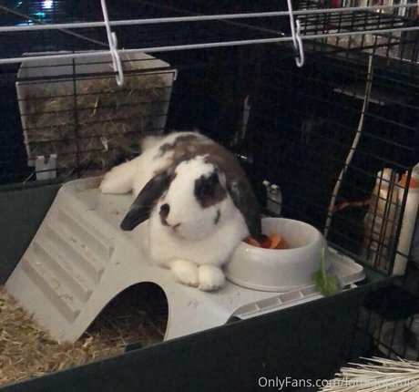 skinny anal onlyfans free sex pics