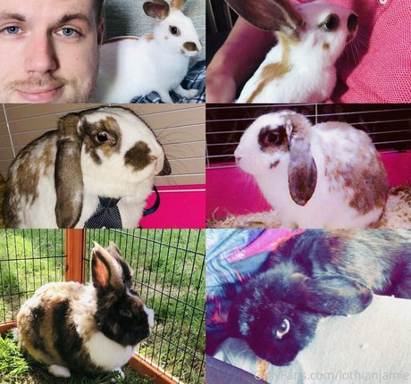 slutty onlyfans top img