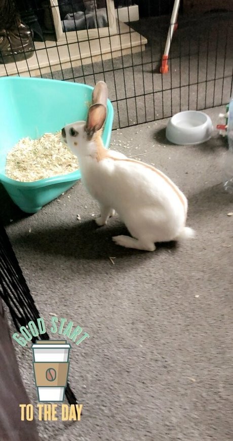 bathroom fuck onlyfans free porn gallery