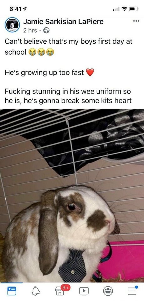 lothianjamie Profile pic