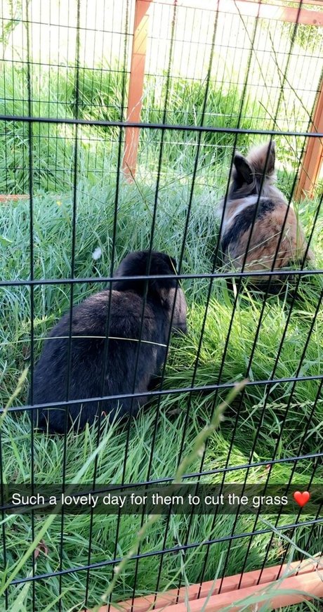 lothianjamie xxx model images