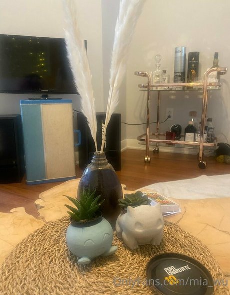 mia wu nudes pornstar pics