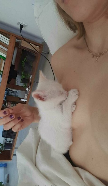 peqqq pretty model image