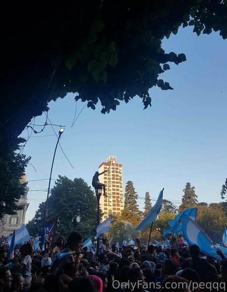 peqqq model free image