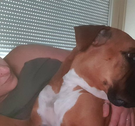 labrujadelcuento Profile pic