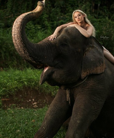 missarchers nice star photos