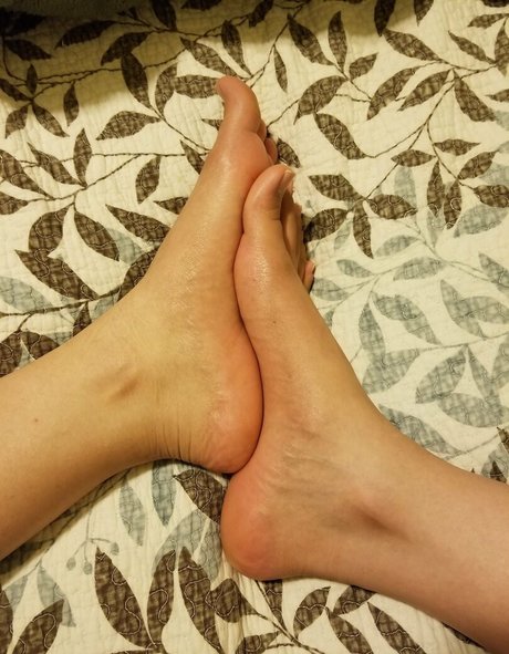 claratoes hd model image