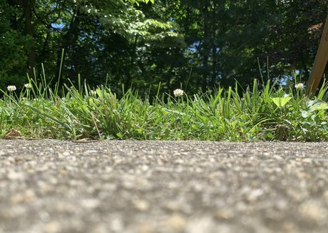 sizeplayproduct pretty actress photo