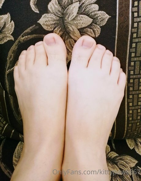 kittypaws667 perfect pornstar img