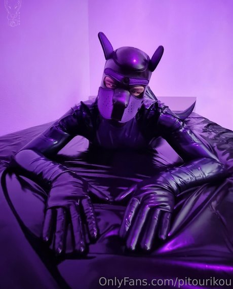 pitourikou star free pictures