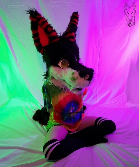 pitourikou Profile pic