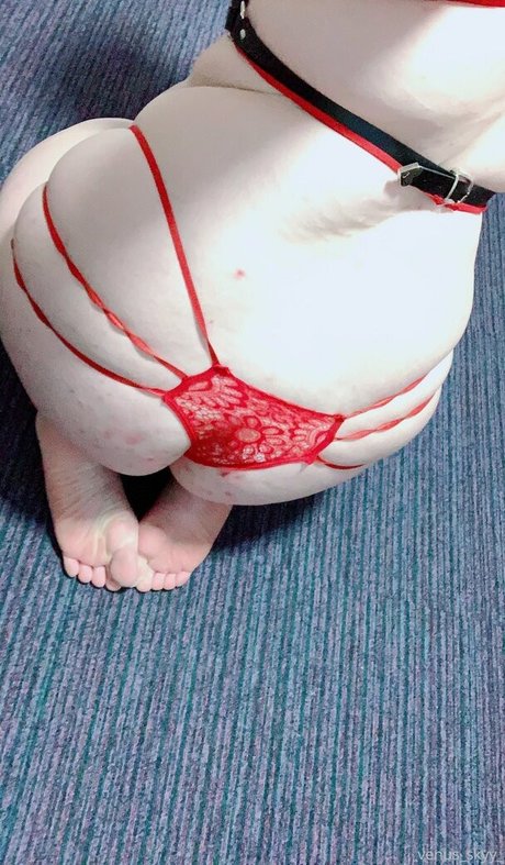 venus skyy model art picture