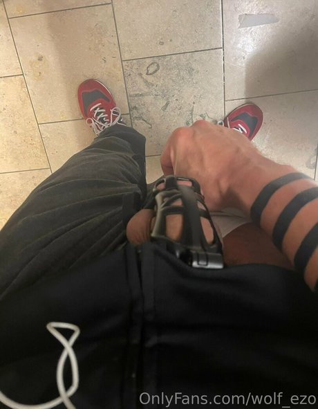 wolf ezo adult star img