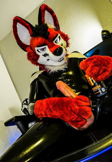 wolf ezo high quality star pic