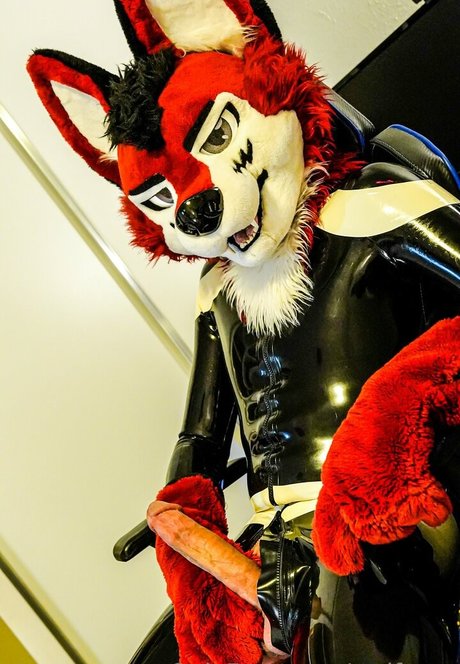 wolf ezo free star pictures