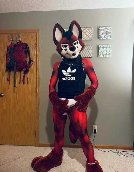 wolf ezo model images