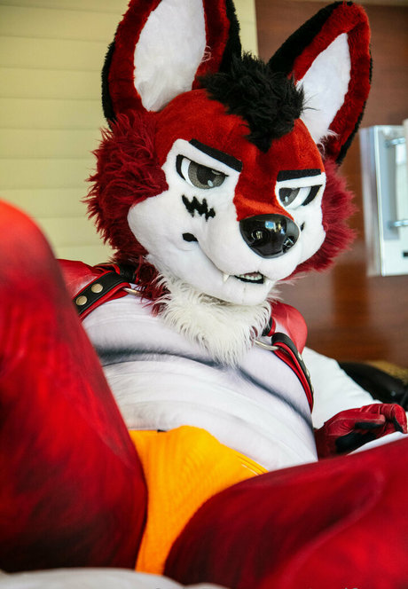 wolf ezo nice pornstar images