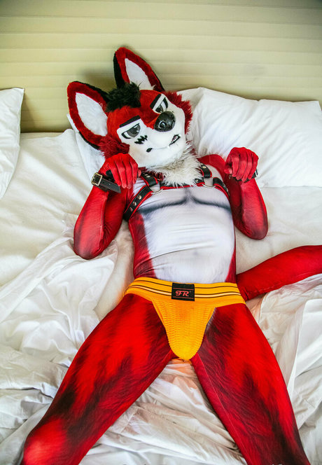 wolf ezo star sexy pics