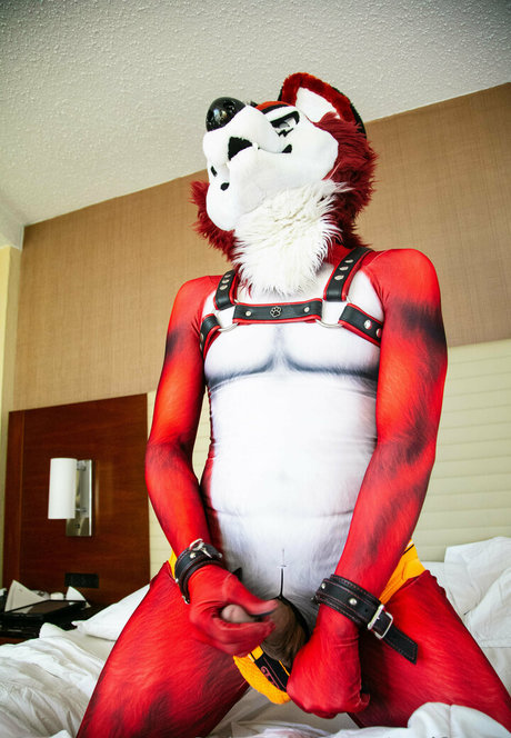 wolf ezo star gallery