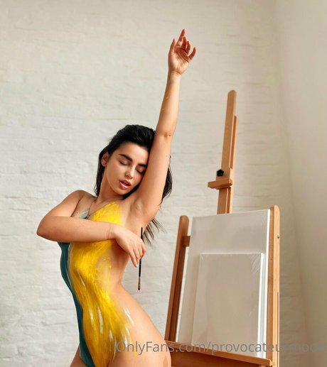 provocateurmood nice star picture