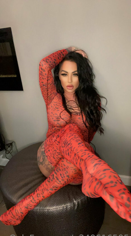 Getin loser21 nice model galleries