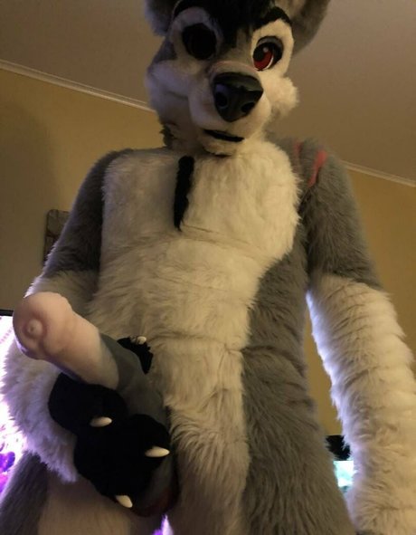 stallionwolf Profile pic