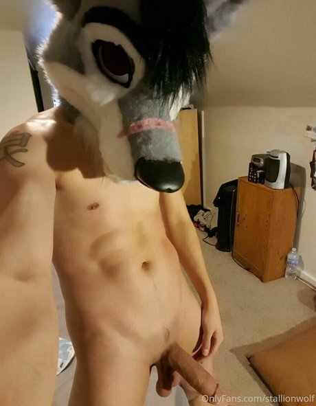 stallionwolf hot star picture