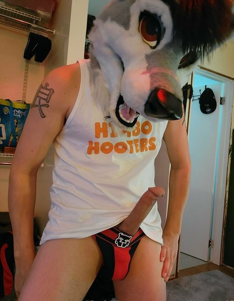 stallionwolf model art pictures