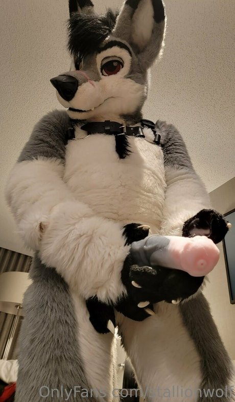 stallionwolf art actress images