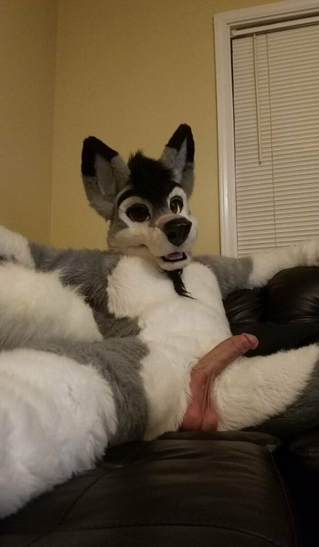 stallionwolf pornstar top gallery