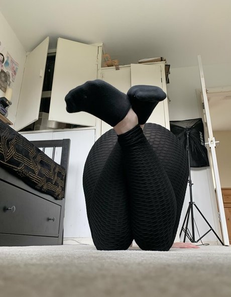 bigbadbee star beautiful pictures