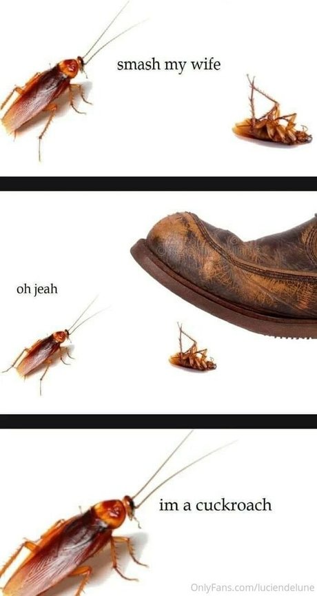 luciendelune pretty star archive